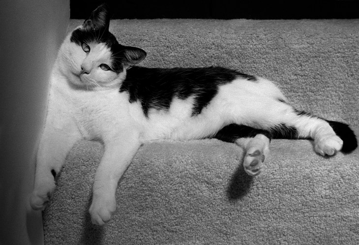 122802Paul on stairs photo by Shannon O'Brien